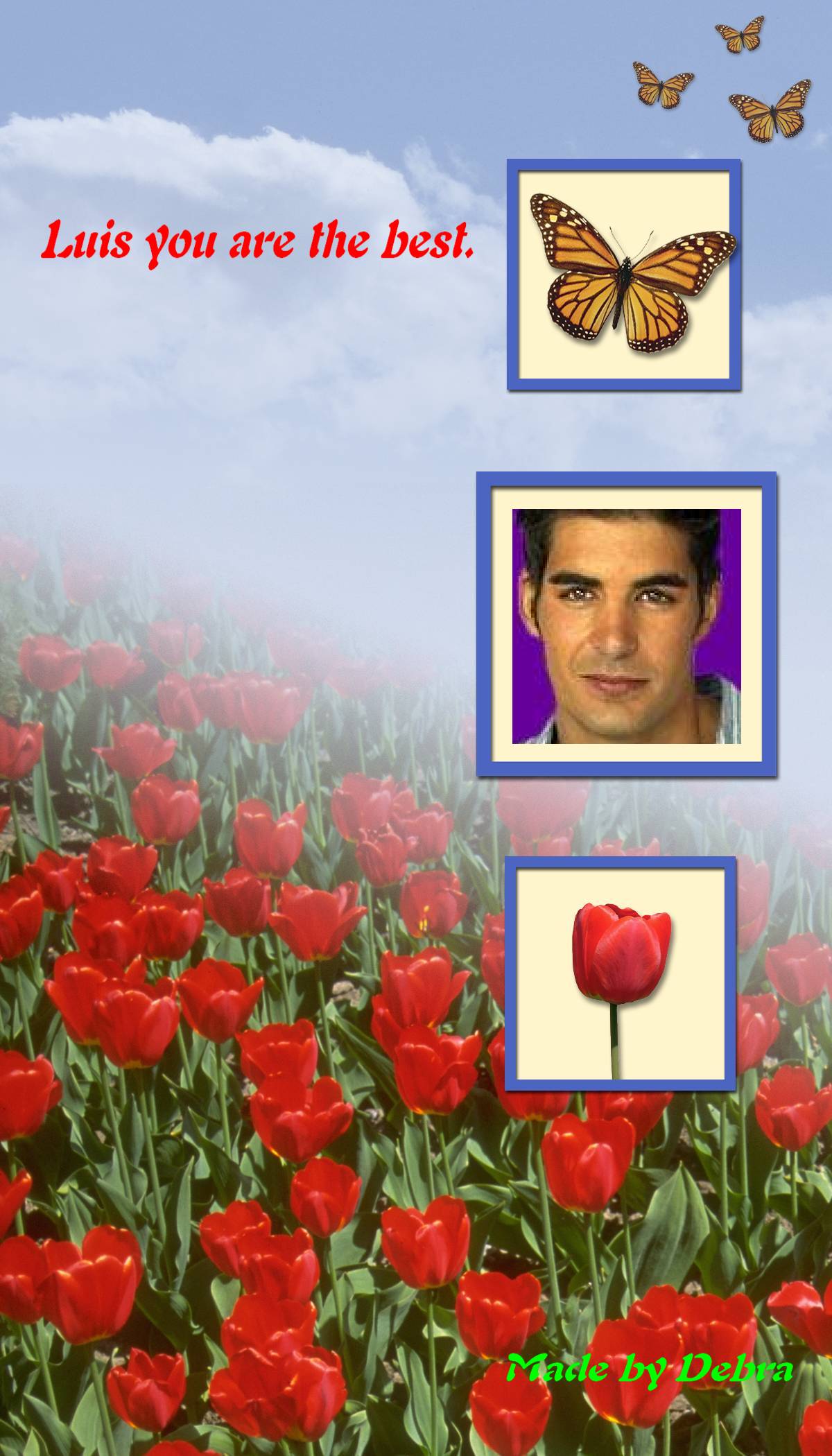 luisbookmark.jpg